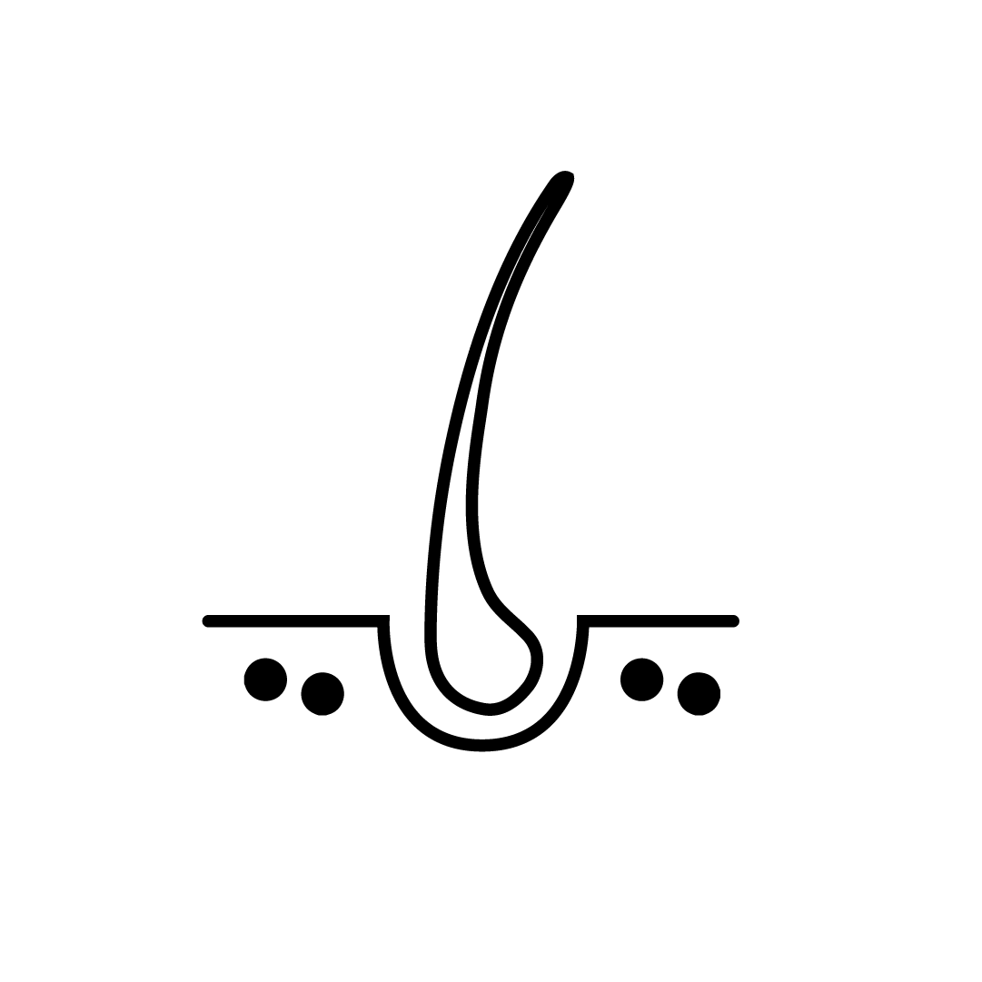 Expertos en tricolog&iacute;a